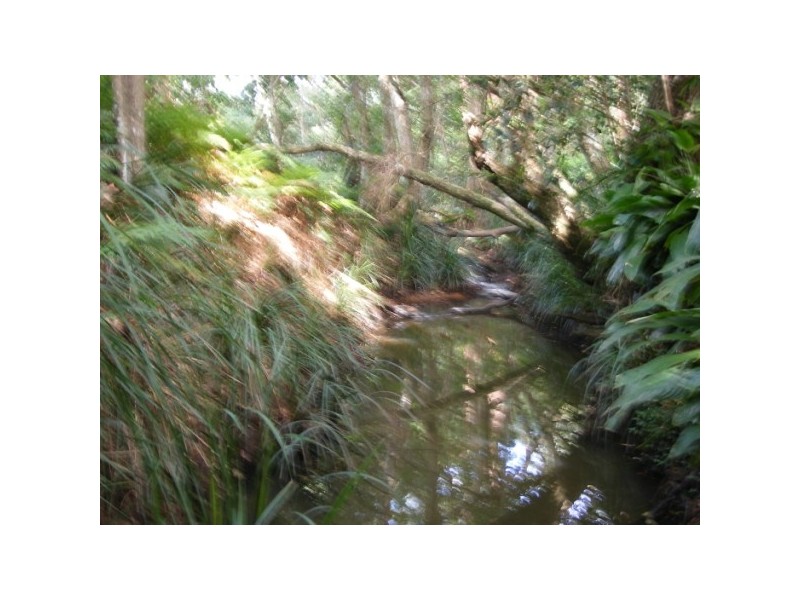 Beerwah QLD 4519