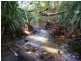 Beerwah QLD 4519