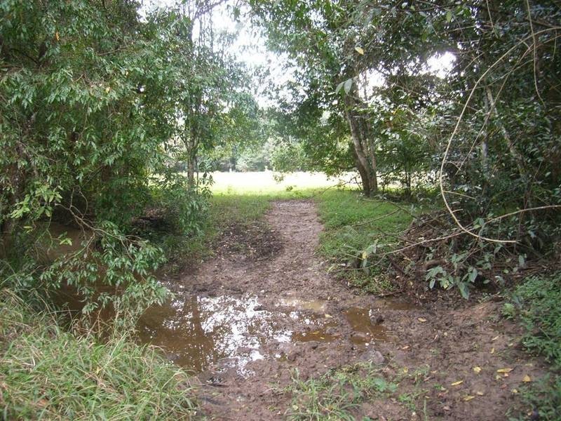 Beerwah QLD 4519