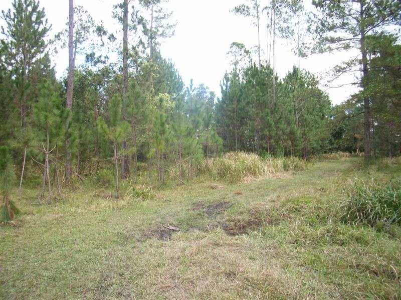 Beerwah QLD 4519
