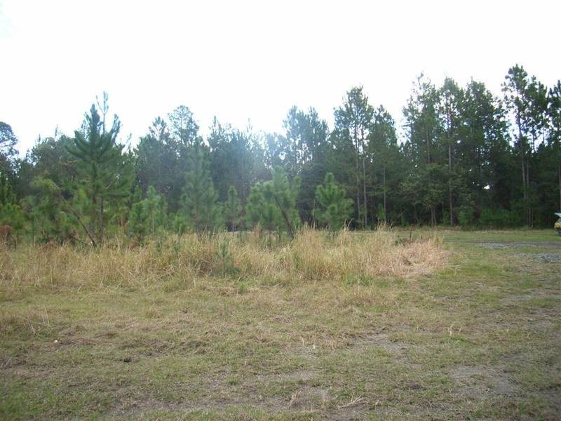 Beerwah QLD 4519