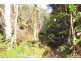 Mooloolah Valley QLD 4553