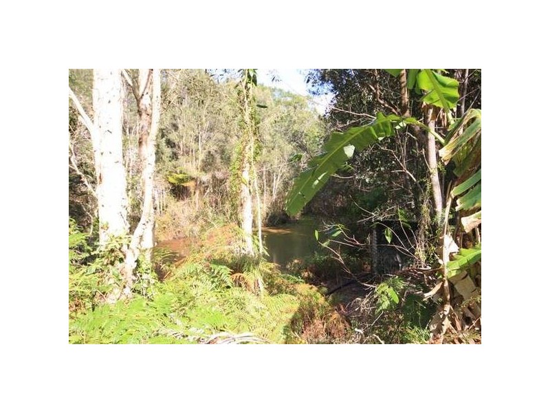 Mooloolah Valley QLD 4553