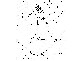 Beerwah QLD 4519
