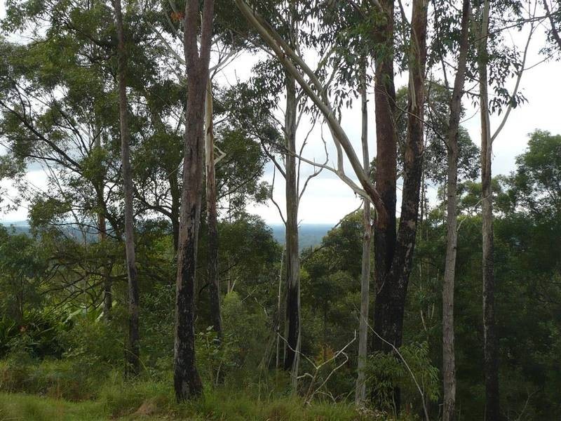 Peachester QLD 4519