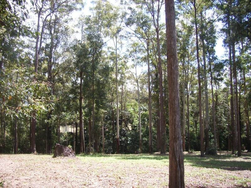 Lot 2,  Quandong Close, Peachester QLD 4519