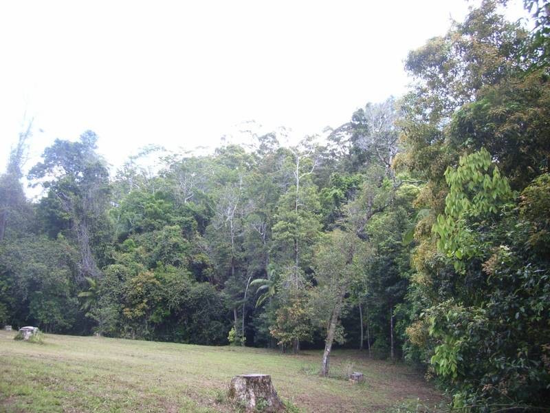 Lot 4,  Quandong Close, Peachester QLD 4519