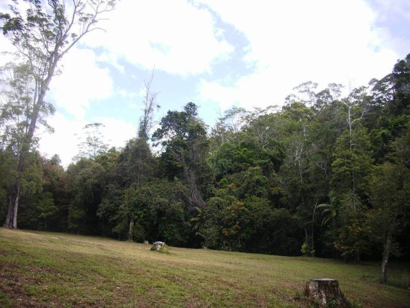 Lot 5,  Quandong Close, Peachester QLD 4519