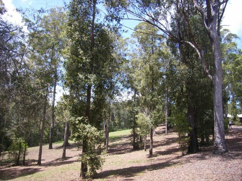 Lot 5,  Quandong Close, Peachester QLD 4519