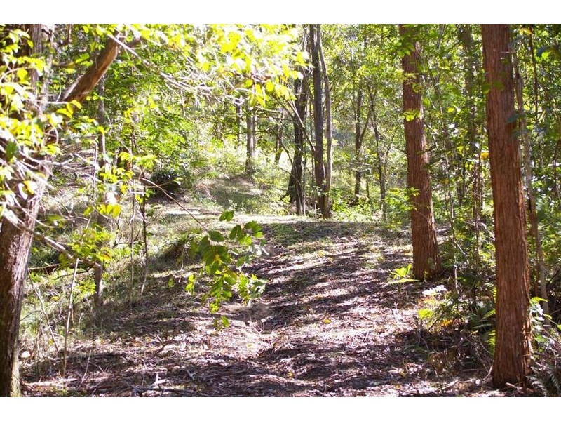 Landsborough QLD 4550