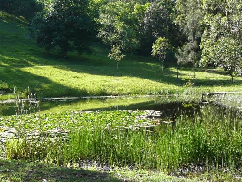 Landsborough QLD 4550