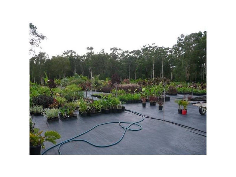 Glass House Mountains QLD 4518