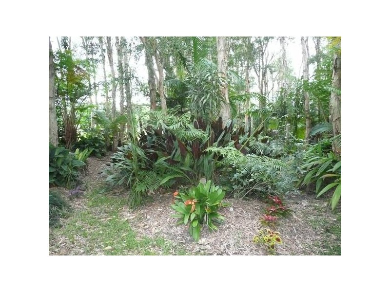 Glass House Mountains QLD 4518