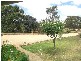 25 Outside Crt, Teesdale VIC 3328