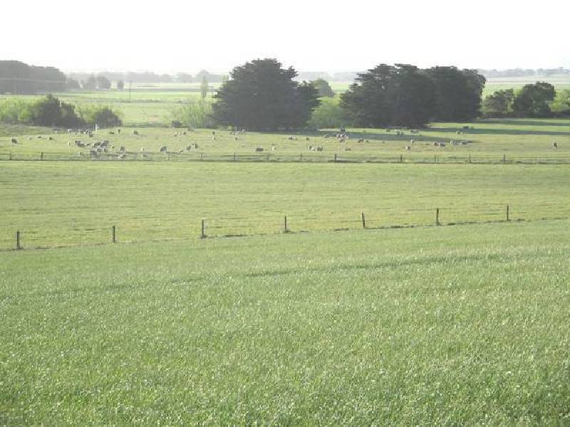 3 Lidgerwoods Lane, Birregurra VIC 3242