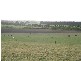 3 Lidgerwoods Lane, Birregurra VIC 3242