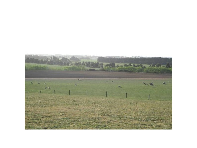 3 Lidgerwoods Lane, Birregurra VIC 3242