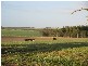 3 Lidgerwoods Lane, Birregurra VIC 3242