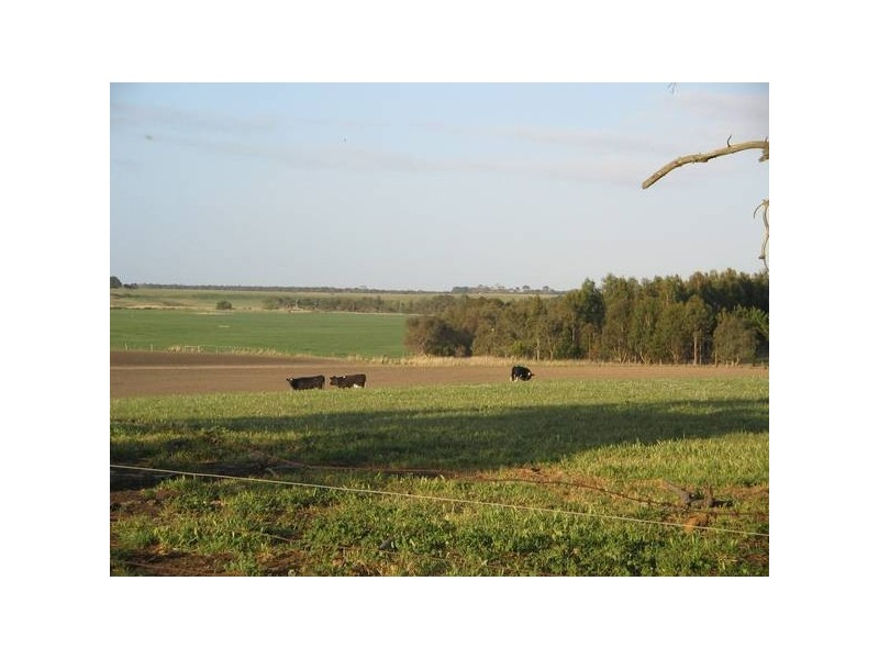 3 Lidgerwoods Lane, Birregurra VIC 3242