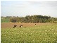3 Lidgerwoods Lane, Birregurra VIC 3242