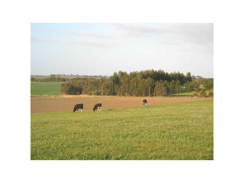 3 Lidgerwoods Lane, Birregurra VIC 3242
