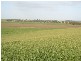 3 Lidgerwoods Lane, Birregurra VIC 3242