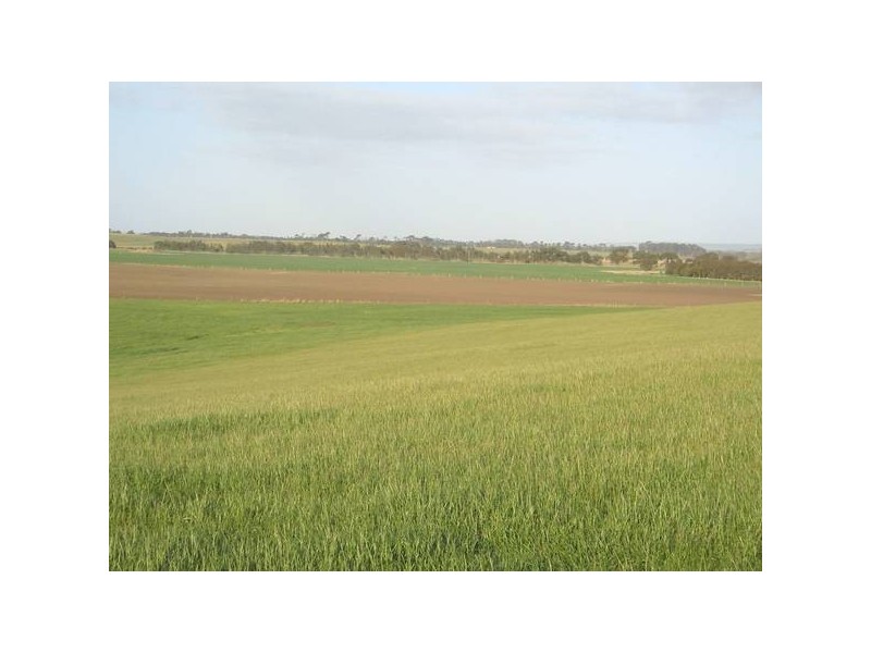 3 Lidgerwoods Lane, Birregurra VIC 3242