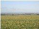 3 Lidgerwoods Lane, Birregurra VIC 3242