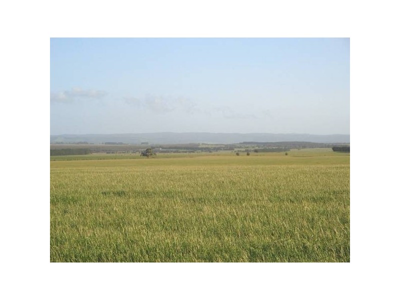 3 Lidgerwoods Lane, Birregurra VIC 3242