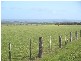 3 Lidgerwoods Lane, Birregurra VIC 3242