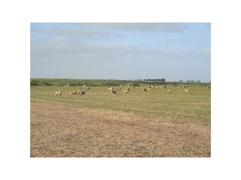 3 Lidgerwoods Lane, Birregurra VIC 3242