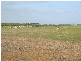 3 Lidgerwoods Lane, Birregurra VIC 3242
