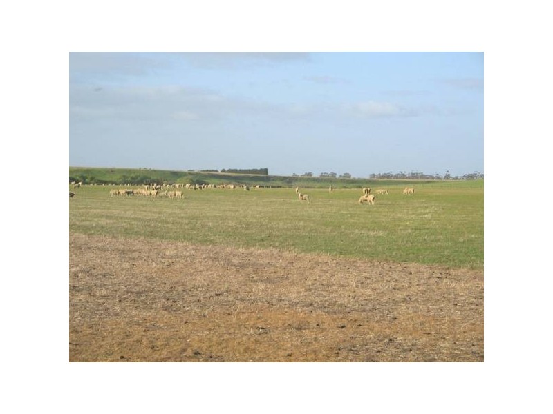 3 Lidgerwoods Lane, Birregurra VIC 3242