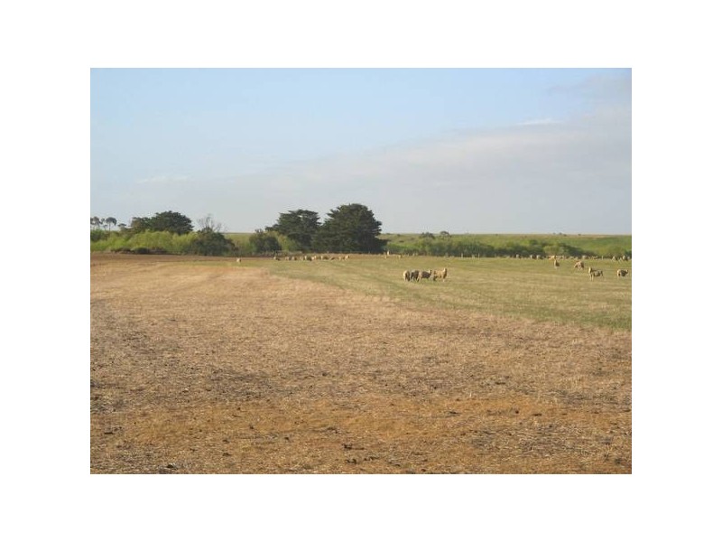 3 Lidgerwoods Lane, Birregurra VIC 3242