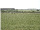 3 Lidgerwoods Lane, Birregurra VIC 3242