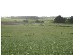 3 Lidgerwoods Lane, Birregurra VIC 3242