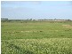 3 Lidgerwoods Lane, Birregurra VIC 3242