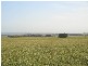3 Lidgerwoods Lane, Birregurra VIC 3242