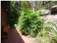 22 Sublime Point Avenue, Tascott NSW 2250