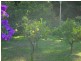 3 Shore Brace, Tascott NSW 2250