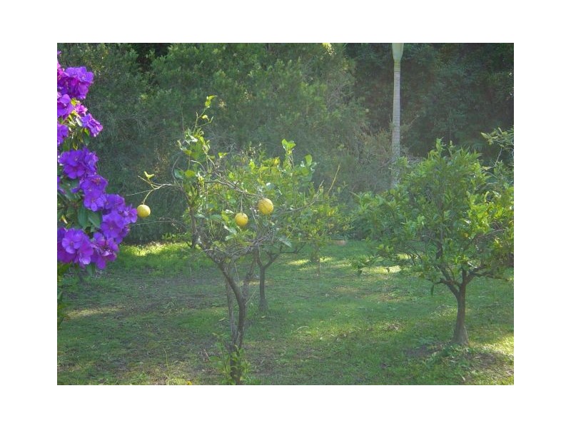 3 Shore Brace, Tascott NSW 2250