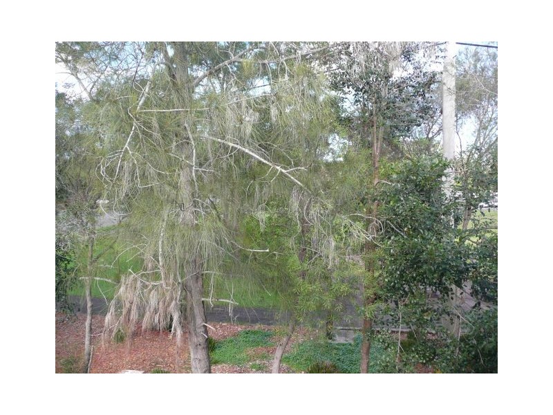 2/42 Webb Street, East Gosford NSW 2250