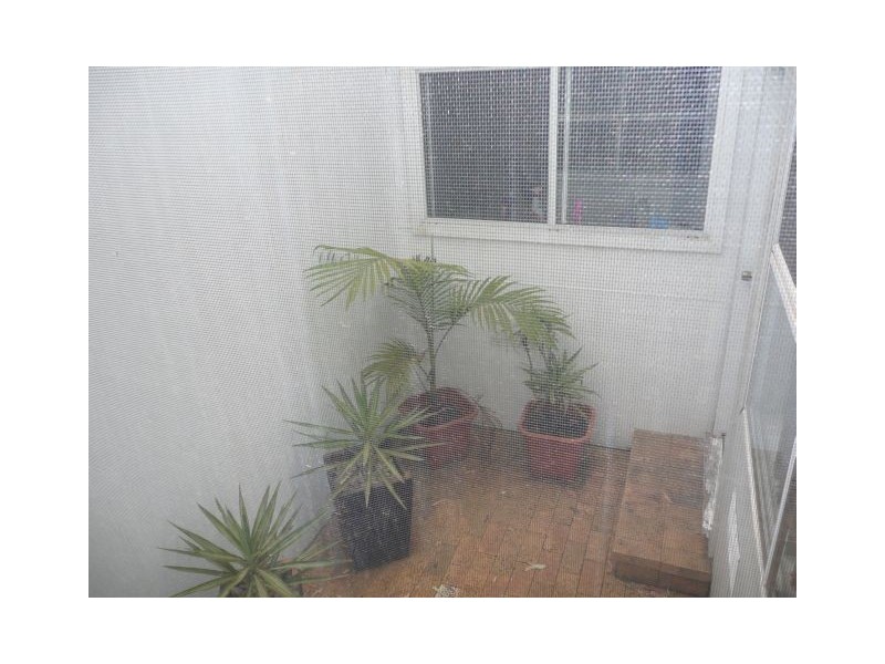 Green Point NSW 2251