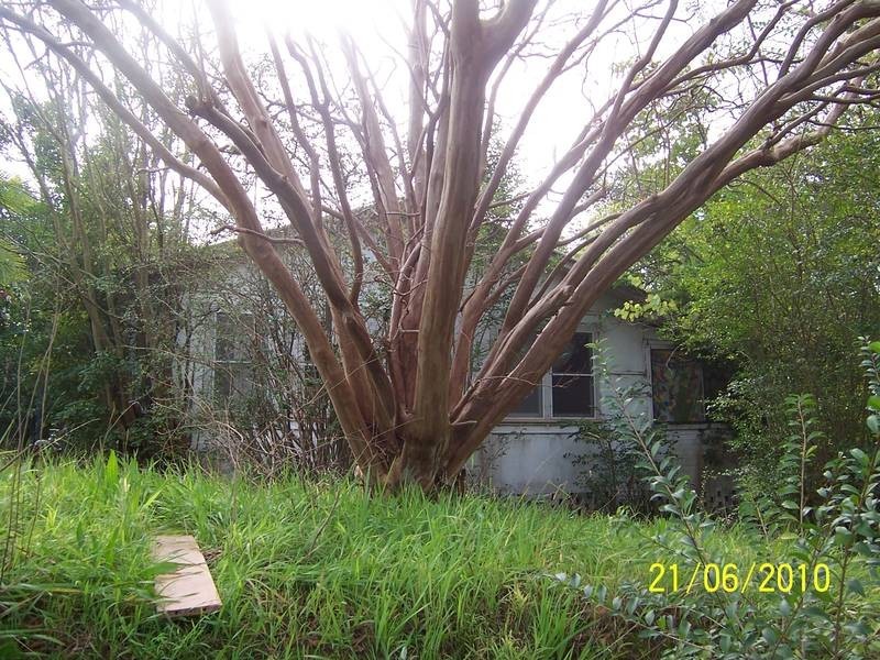 411 Terrigal Drive, Terrigal NSW 2260