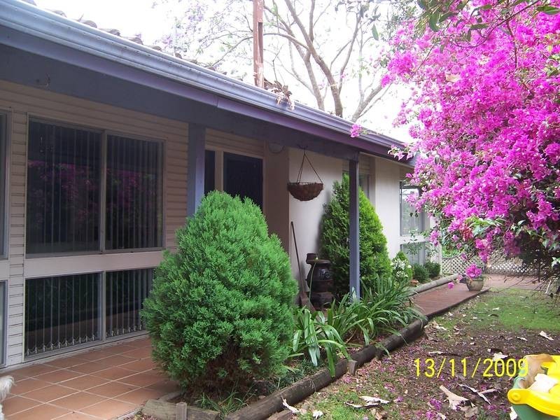 127 Jarrett Street, Wyoming NSW 2250