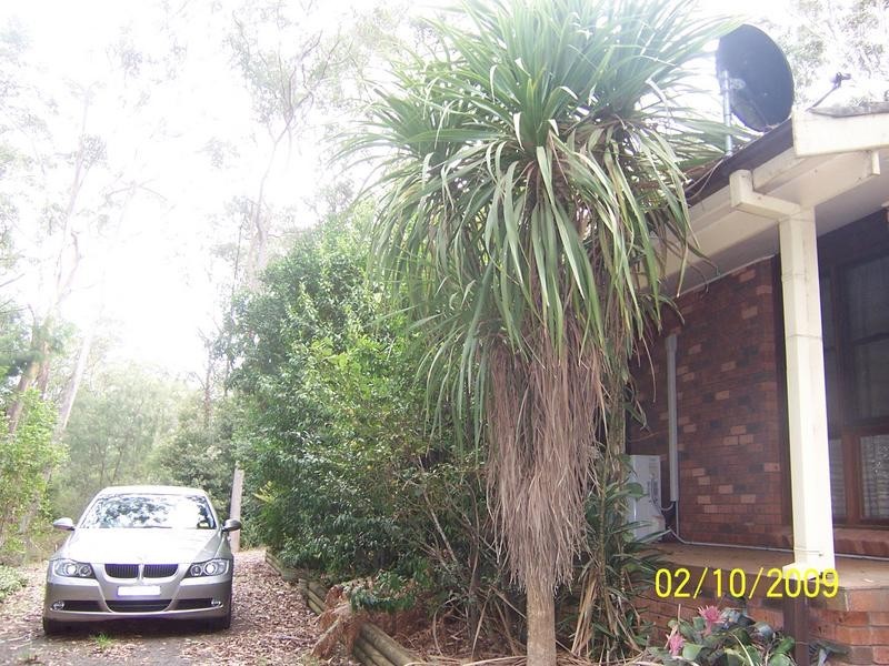 Lot 3 Wandi Close, Kincumber NSW 2251