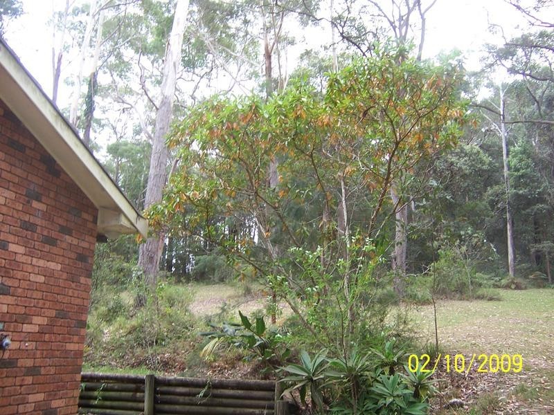 Lot 3 Wandi Close, Kincumber NSW 2251