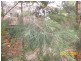 Lot 3 Wandi Close, Kincumber NSW 2251