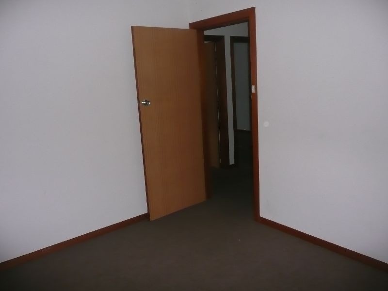 40 Elizabeth Street, Wyoming NSW 2250
