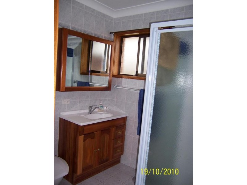 166 Wells Street, Springfield NSW 2250